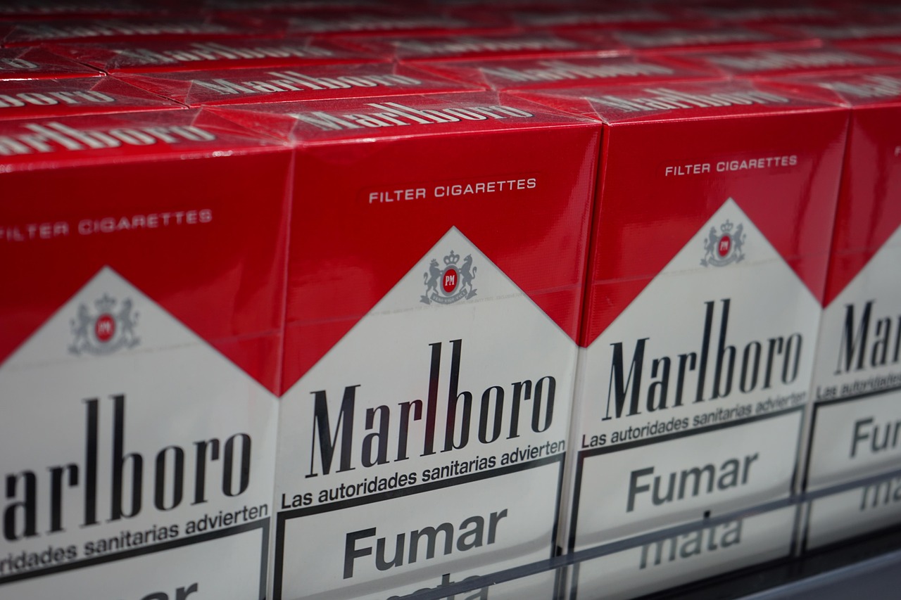 Philip Morris Management Services Appoints Richa Rustagi as Managing Director for Lower Gulf & Iraq