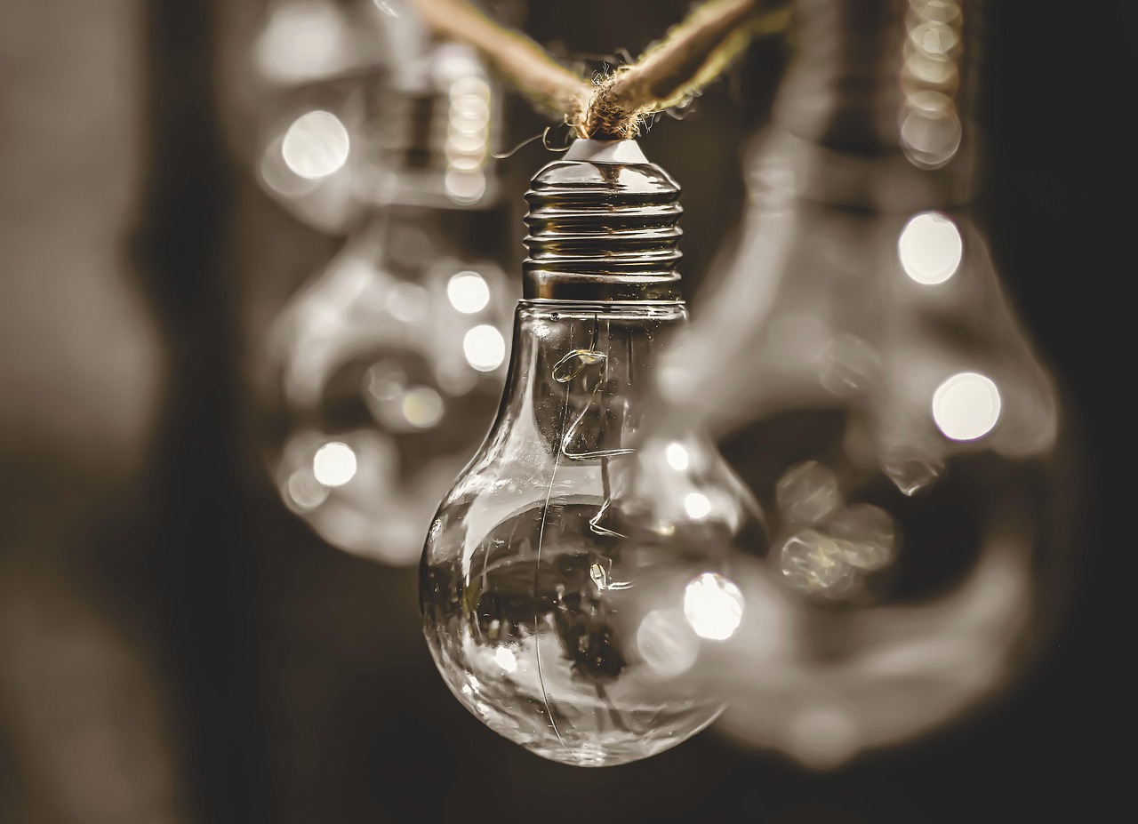 Dedicated to Environmental Conservation and Sustainability: Our Commitment to Creativity