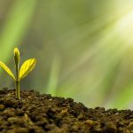 Fastest Growing Economies in the World in 2026 Ranked