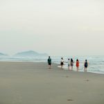 Friends of the Environment Centre host panel discussion as a part of their summer activities