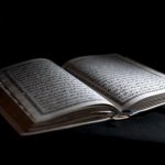 The Qur'anic Botanic Garden takes part in the IUCN conservation forum.
