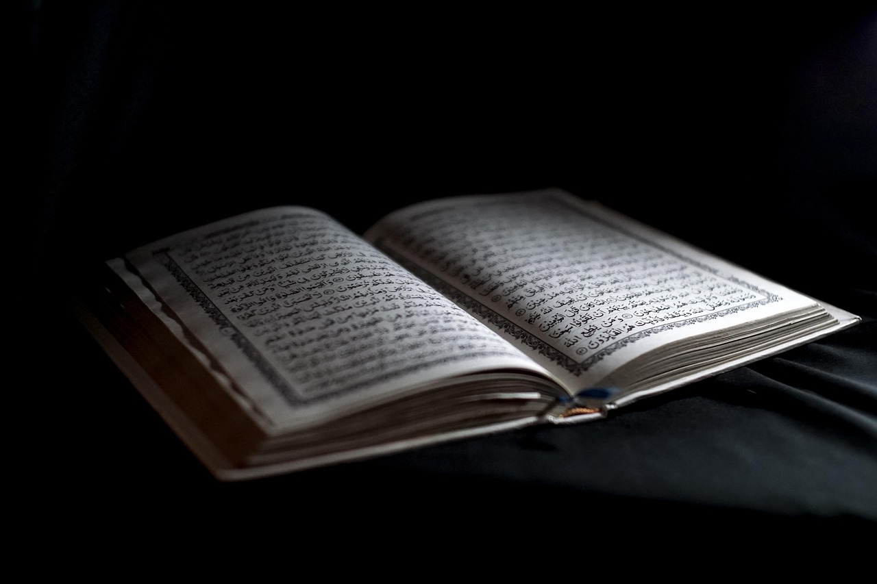 The Qur'anic Botanic Garden takes part in the IUCN conservation forum.