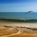 Cheapest Travel Destinations for Gulf Residents in Summer