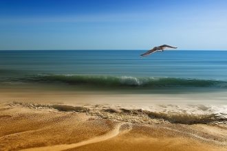 Cheapest Travel Destinations for Gulf Residents in Summer